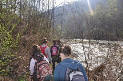 Team doing fieldwork on Dariva near Sarajevo